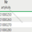 Elektroniczny regulator prędkości EVS 10 - 2